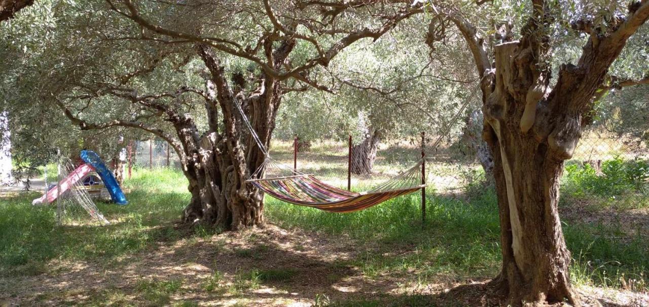 The Small House In The Olive Grove Lefokastro Exterior photo