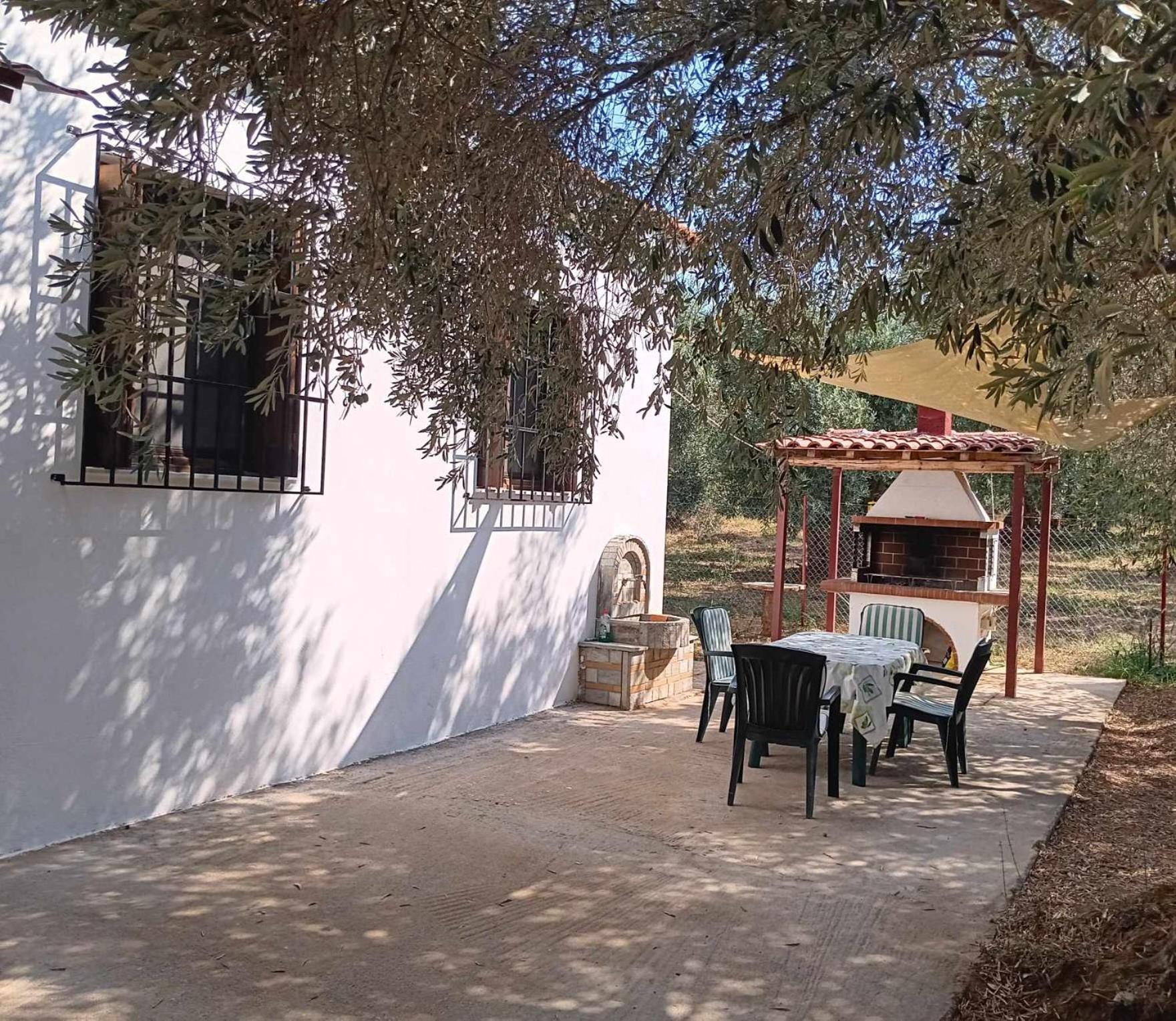 The Small House In The Olive Grove Lefokastro Exterior photo
