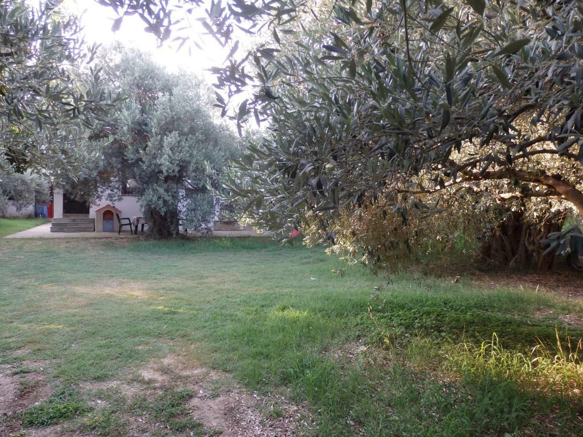The Small House In The Olive Grove Lefokastro Exterior photo