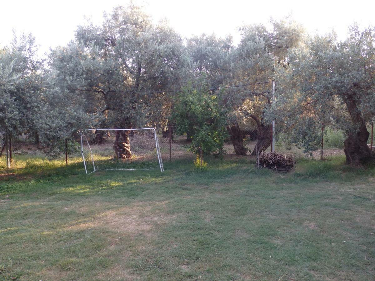 The Small House In The Olive Grove Lefokastro Exterior photo