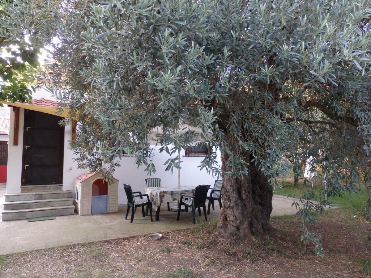 The Small House In The Olive Grove Lefokastro Exterior photo