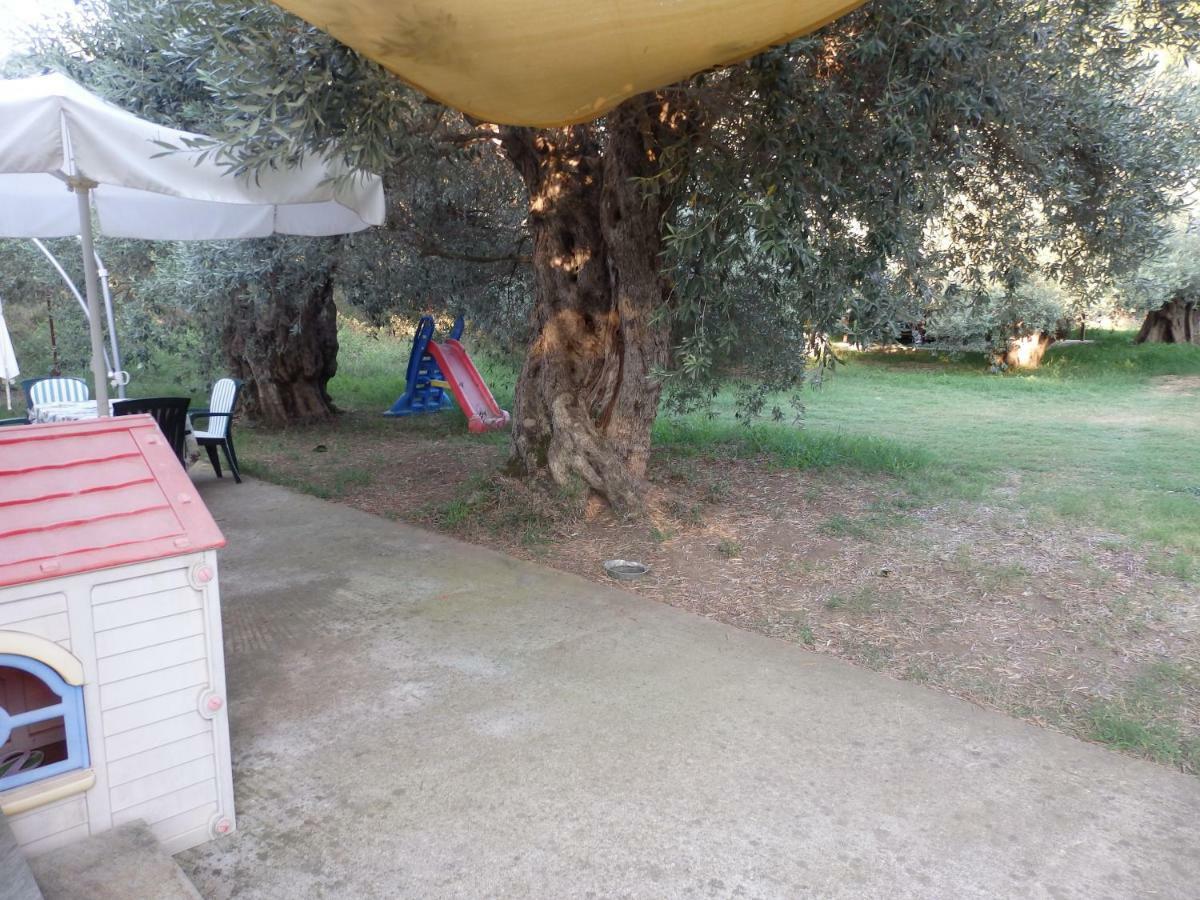 The Small House In The Olive Grove Lefokastro Exterior photo