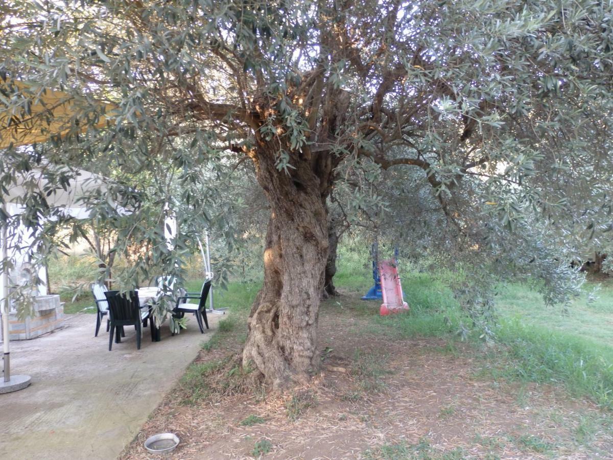The Small House In The Olive Grove Lefokastro Exterior photo