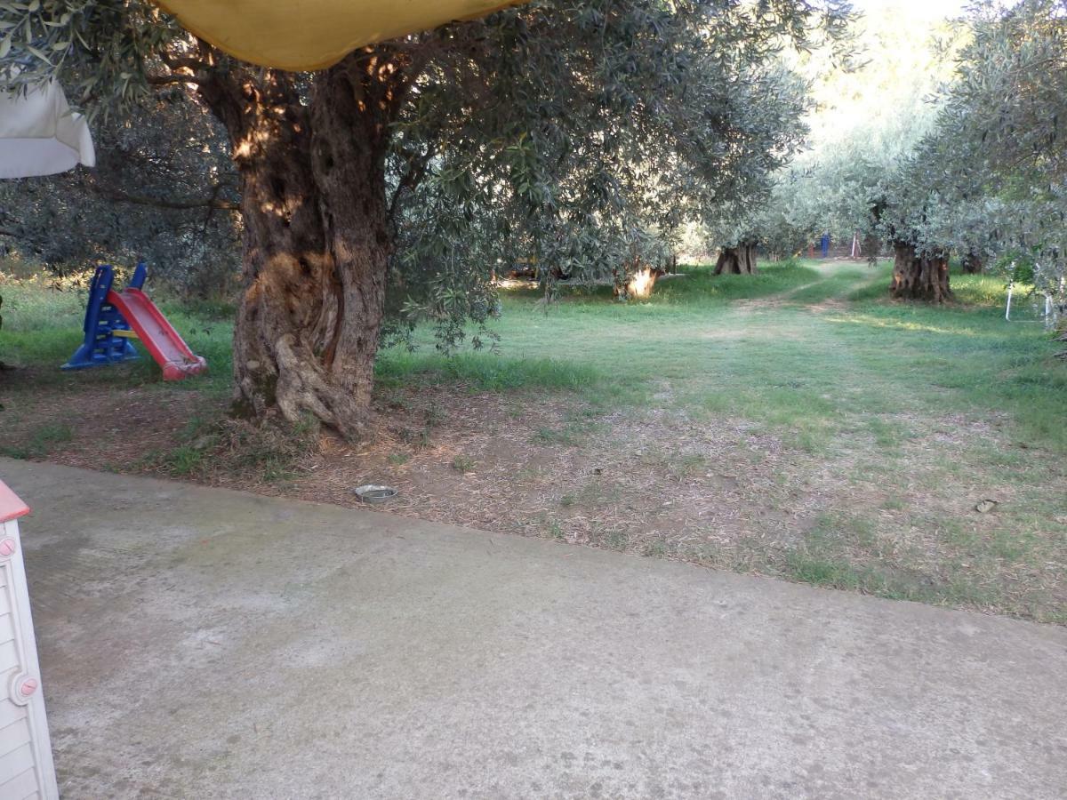 The Small House In The Olive Grove Lefokastro Exterior photo